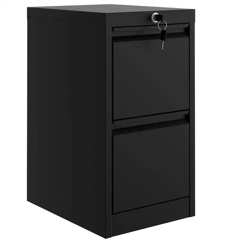 COZONY Vertical File Cabinet with Lock, 2-Drawer Metal Storage for Letter and Legal Documents
